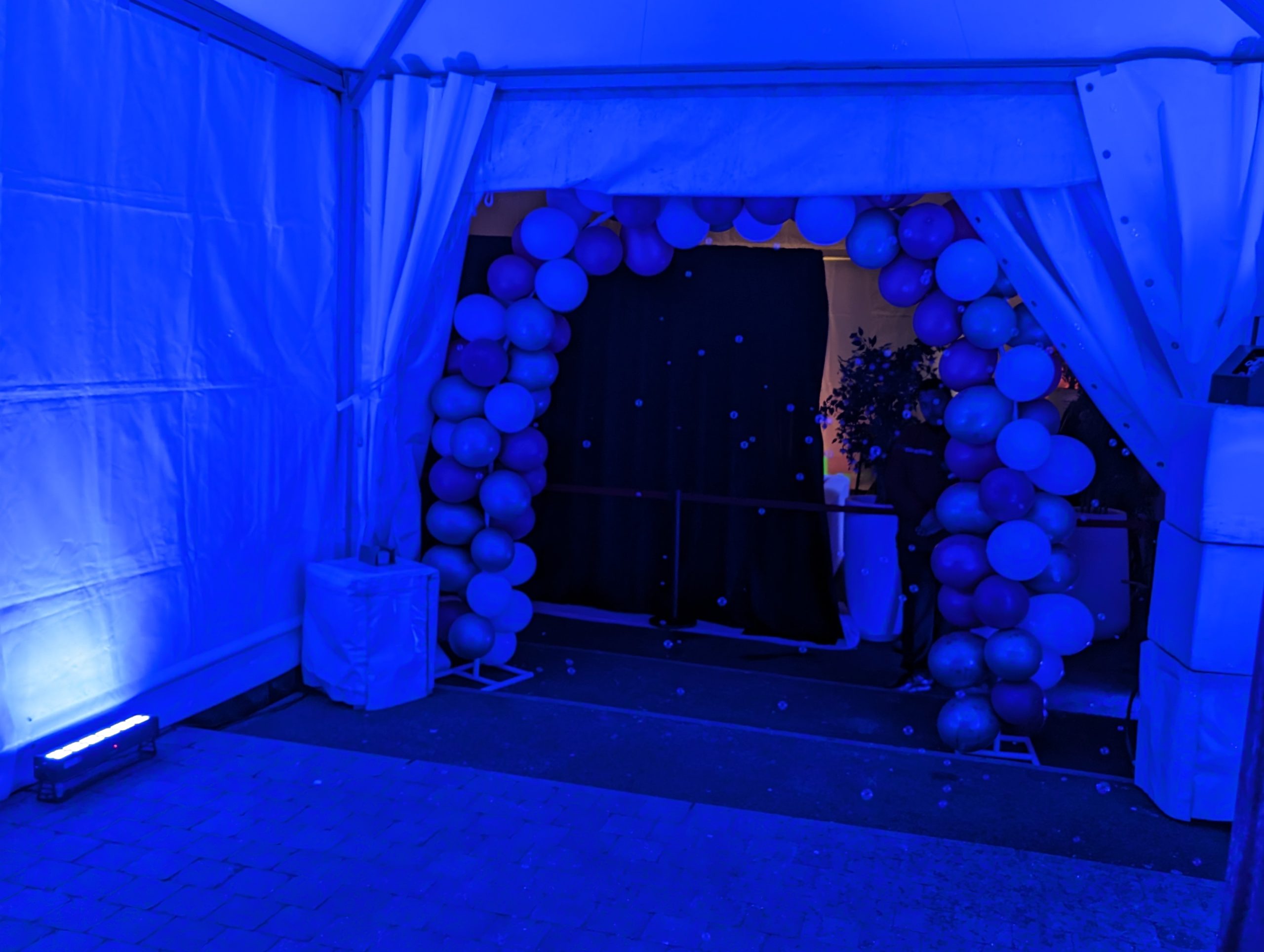 PXL_20240329_210952577